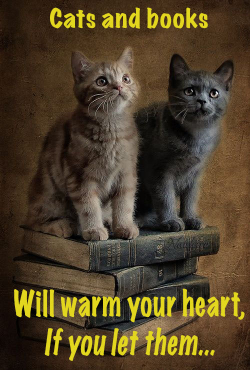 Cats and books